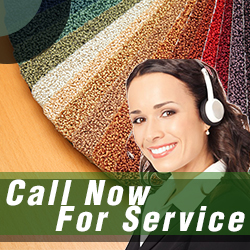 Contact Carpet Cleaning Services